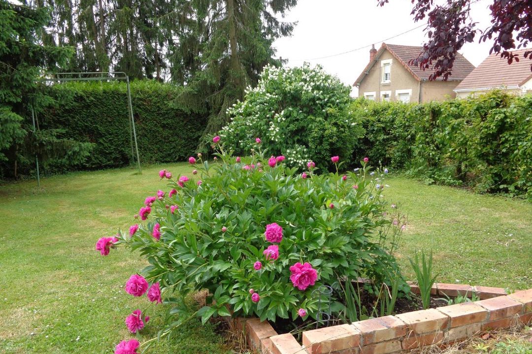 Photo of Others in Vierzon