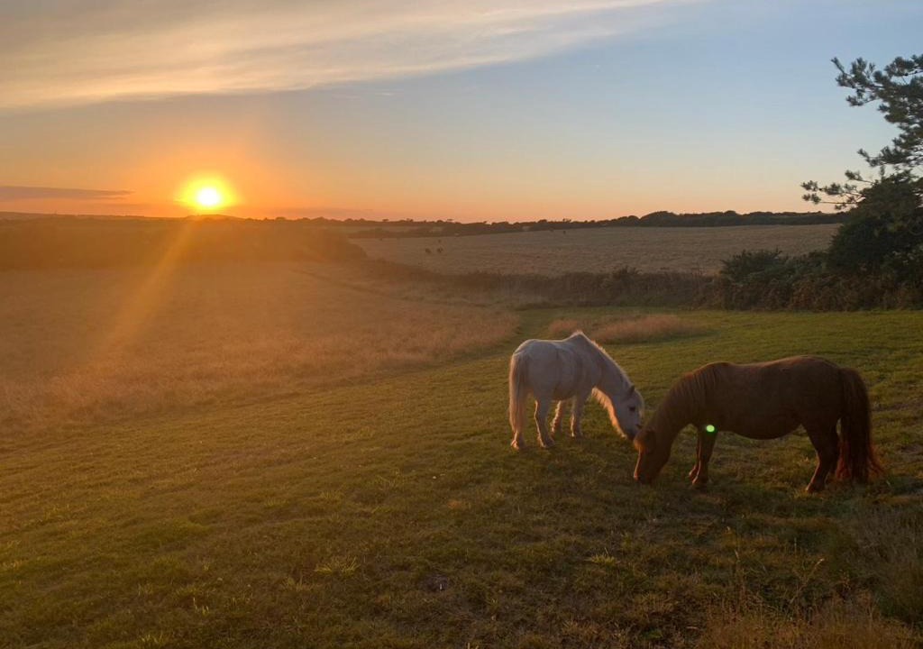 Photo of Outdoor in Helford Passage