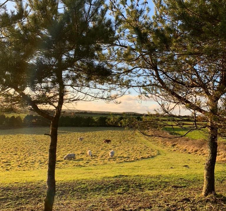 Photo of Outdoor in Helford Passage