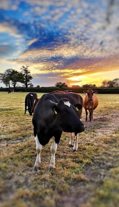 Photo of Others in Winsford