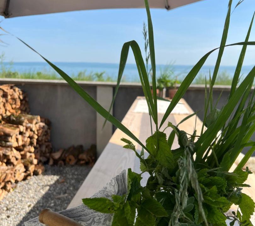 Photo of Patio Balcony in Horn