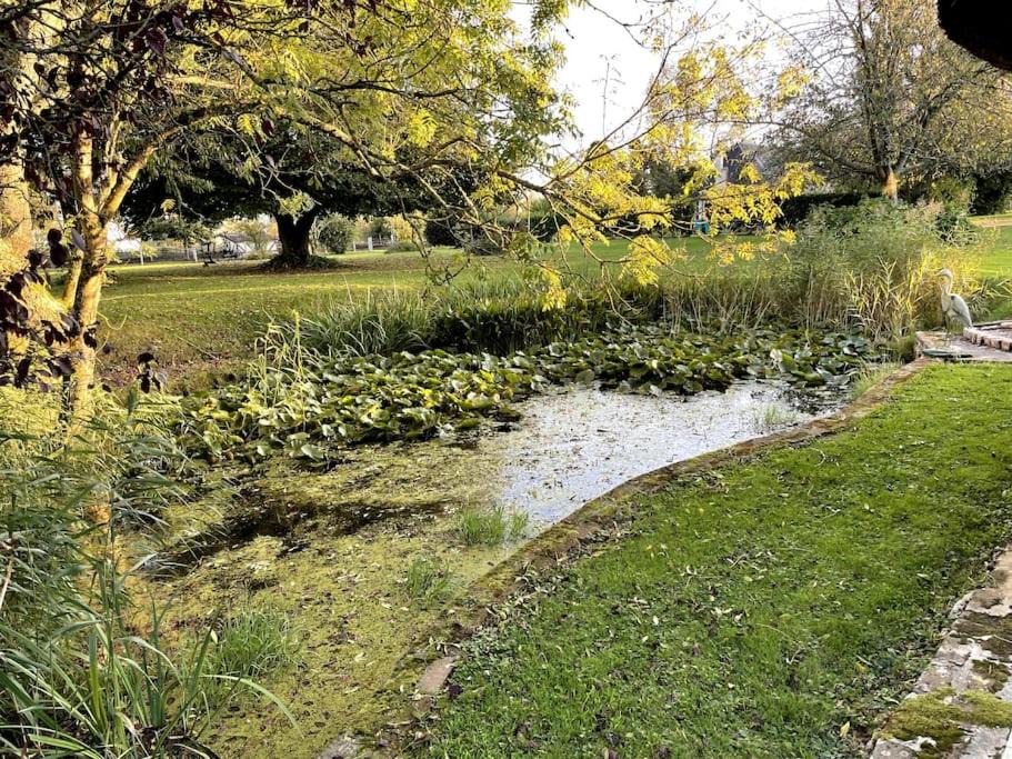 Photo of Outdoor in Saint-Andre-d'Hebertot