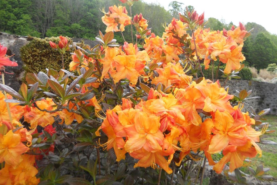 Photo of Others in Aurillac