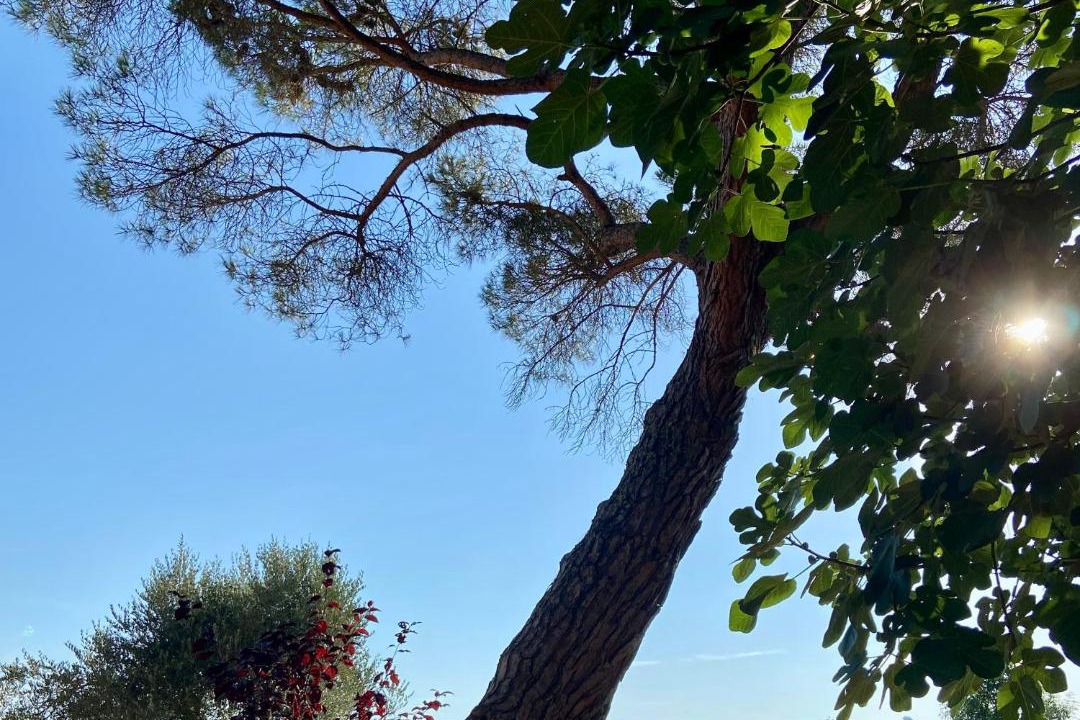 Photo of Outdoor in Astarac Arros en Gascogne