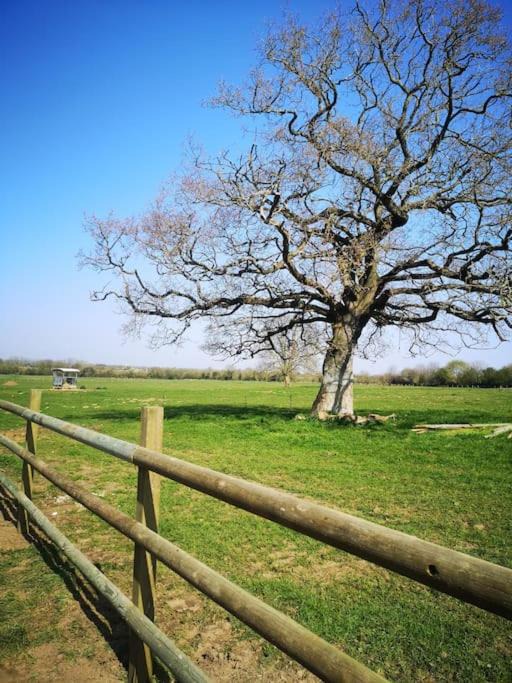 Photo of Others in Sainte-Mere-Eglise