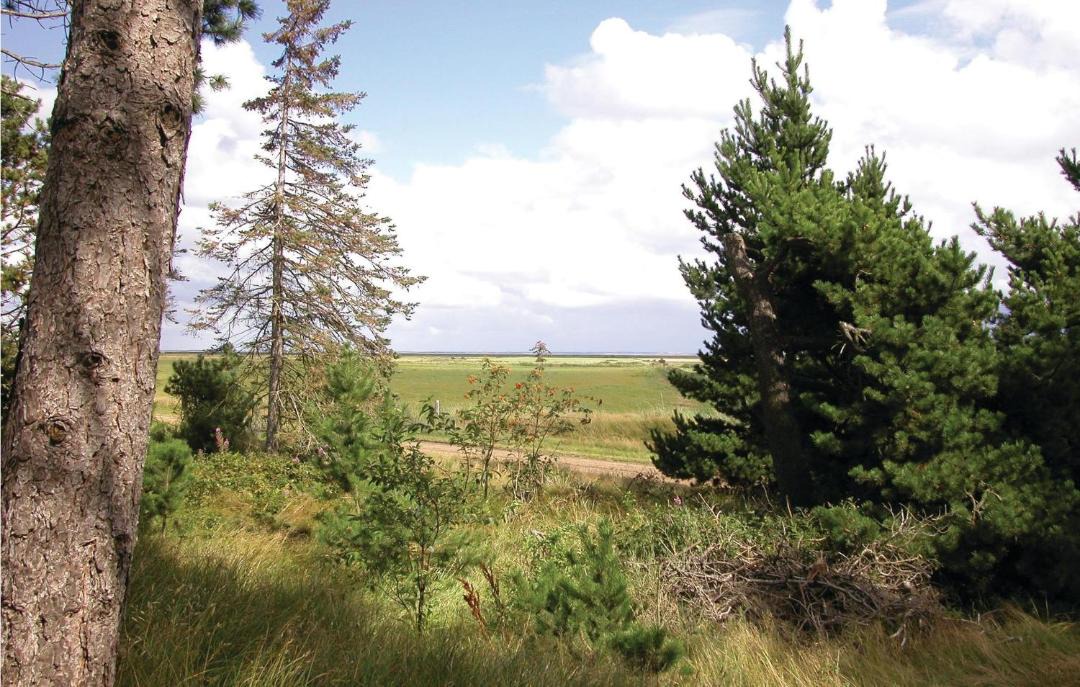 Photo of Others in Toftum