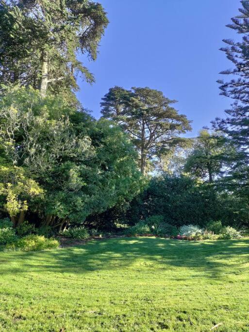 Photo of Others in Central Richmond