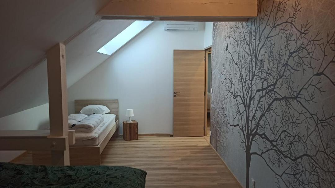 Photo of Others in Saint-Parres-les-Vaudes