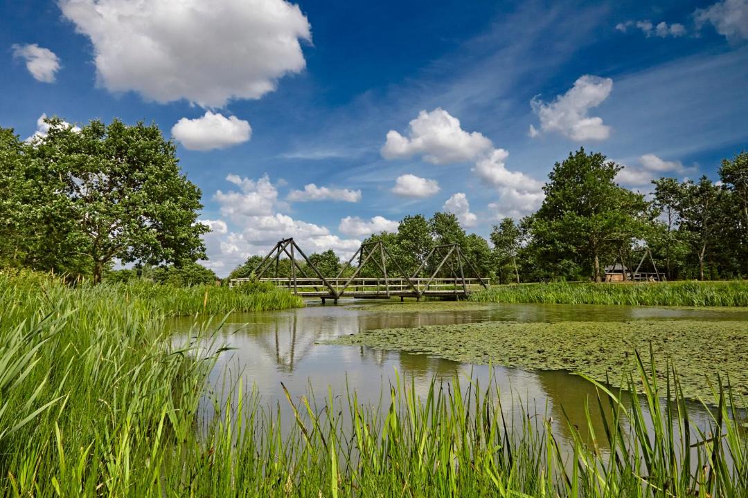 Photo of Others in Vildbjerg