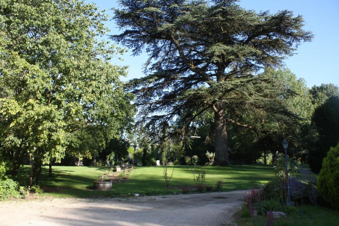 Photo of Others in Roquemaure