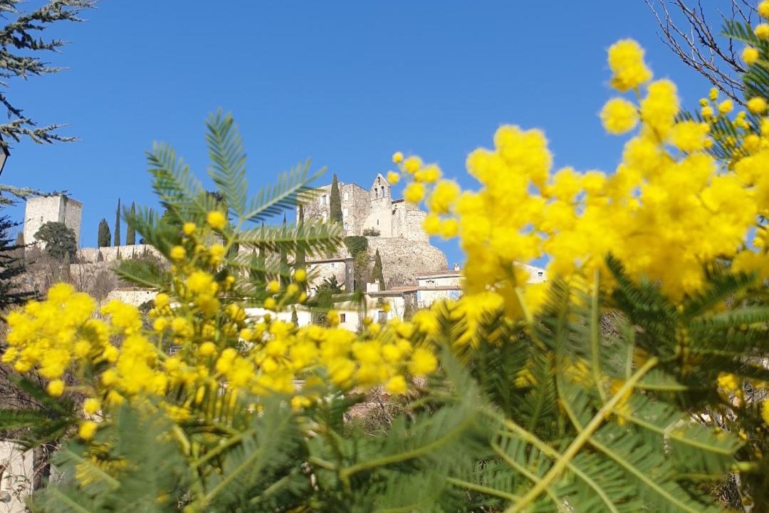 Photo of Others in Valaurie