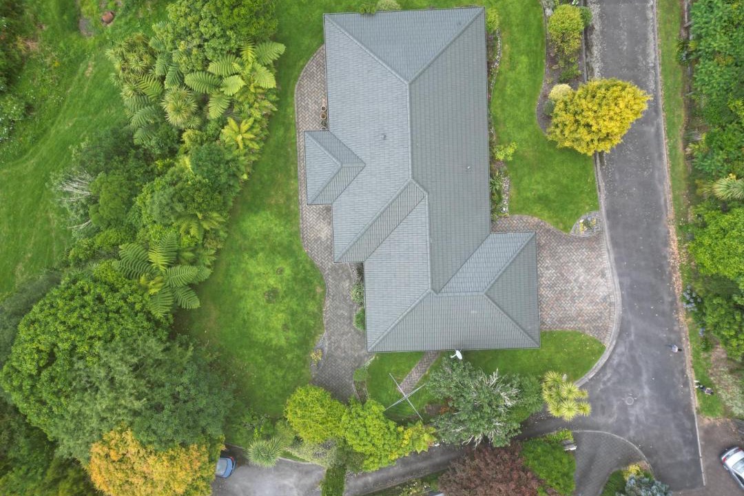 Photo of Others in Springfield