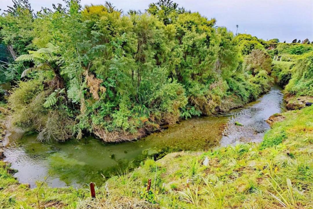 Photo of Outdoor in Springfield