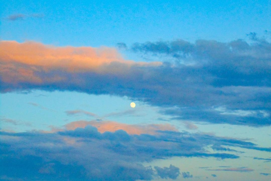 Photo of Others in Steuben