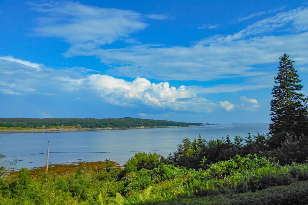 Photo of Others in Steuben