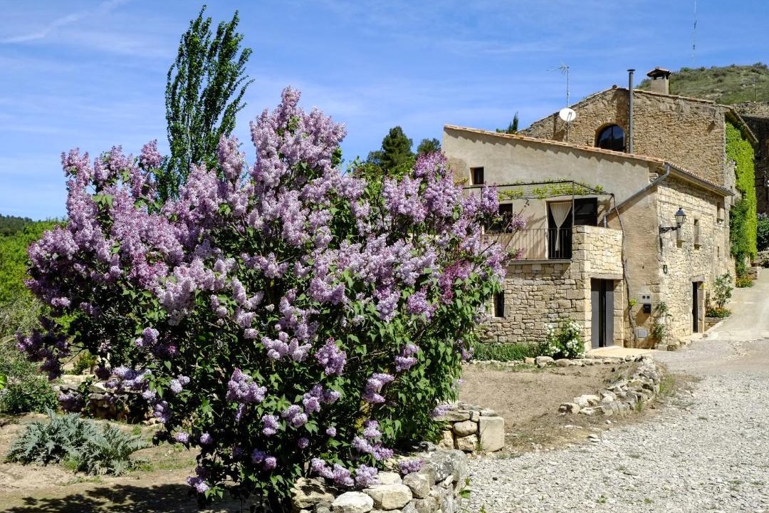 Photo of Buildings in Montblanquet