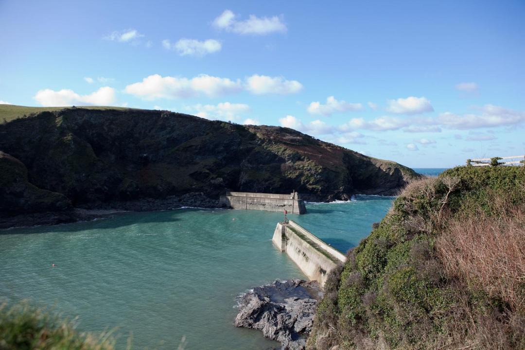 Photo of Others in Port Isaac