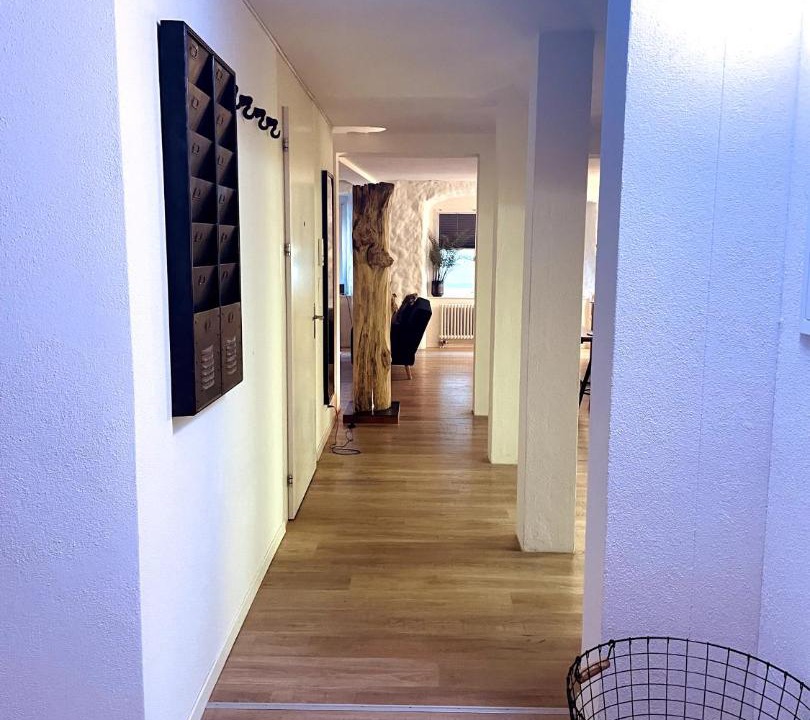 Photo of Others in Schaffhausen