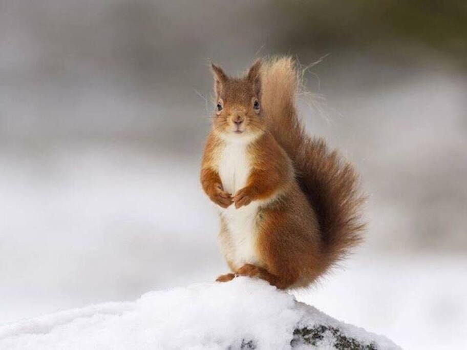 Photo of Others in Keith