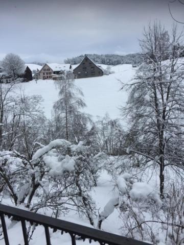 Photo of Others in Herisau