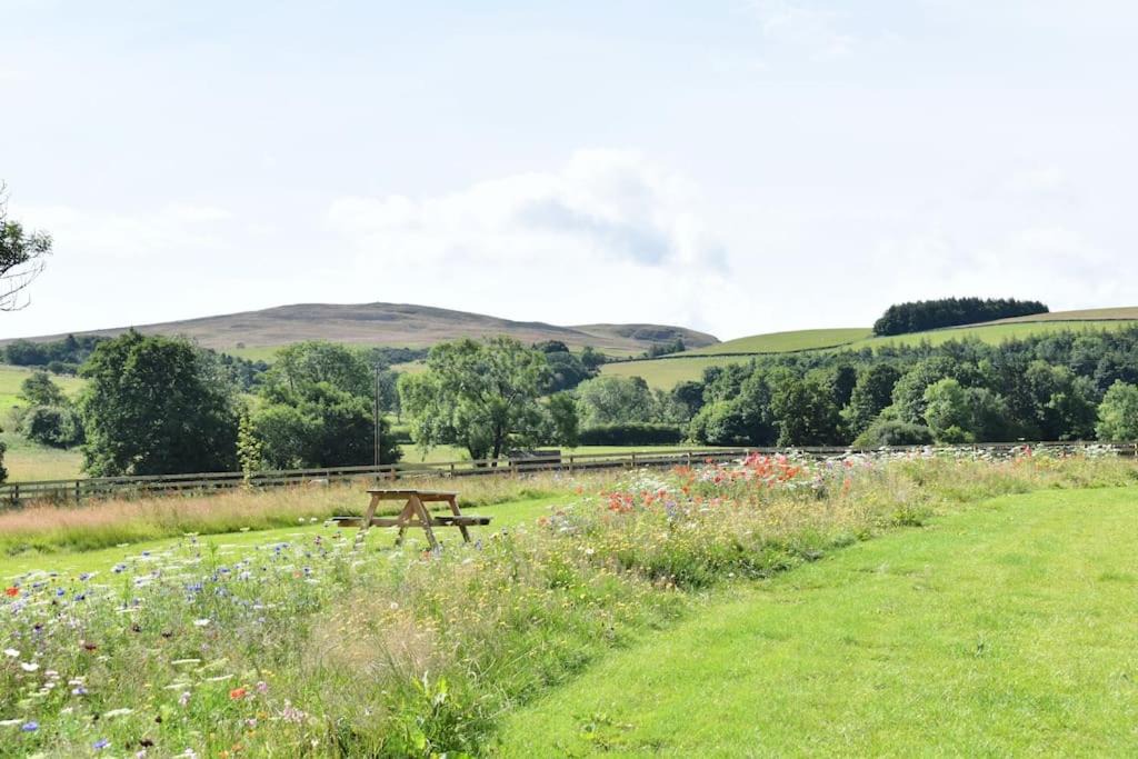 Photo of Others in Wigton