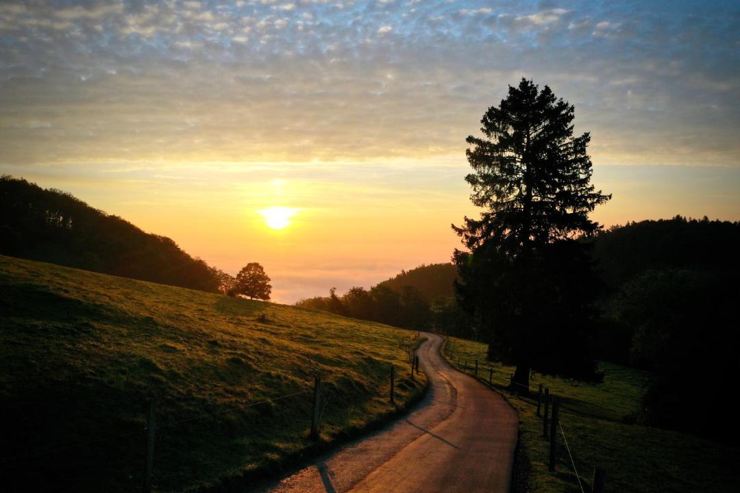 Photo of Others in Oberbuchsiten