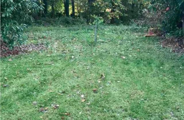 Photo of Outdoor in Cesson