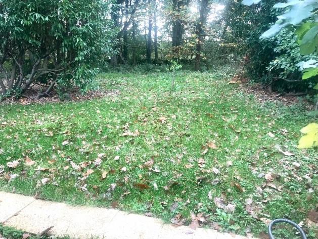 Photo of Outdoor in Cesson