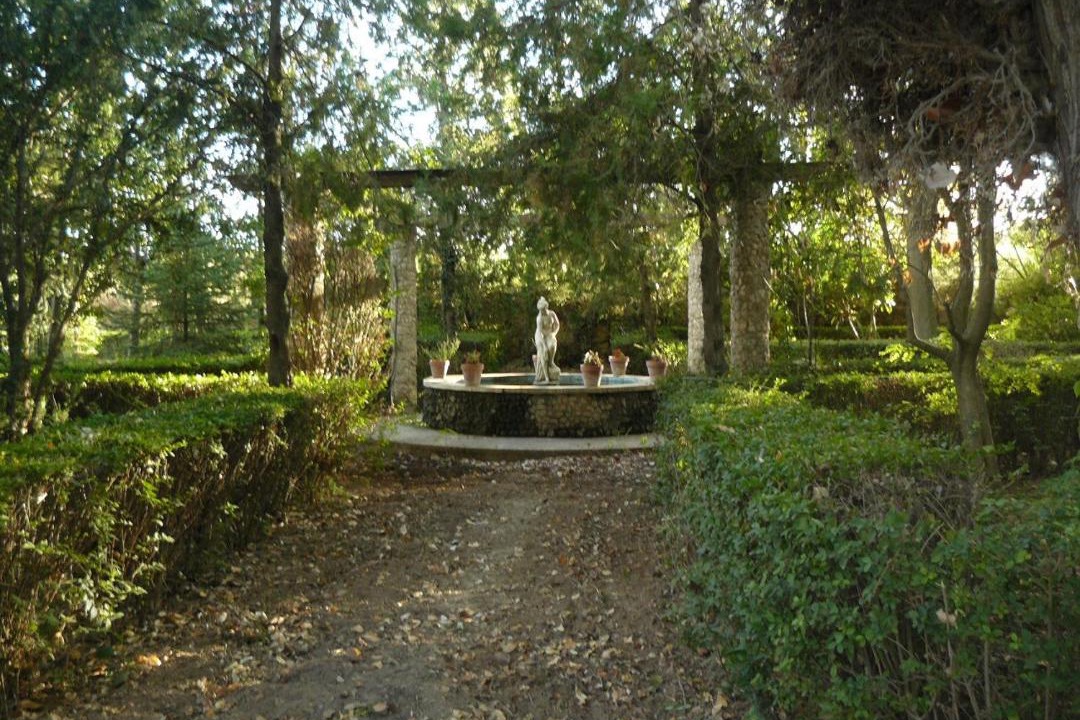 Photo of Others in Ainzon