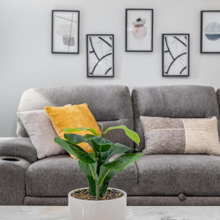 Photo of Livingroom in Asylum Hill