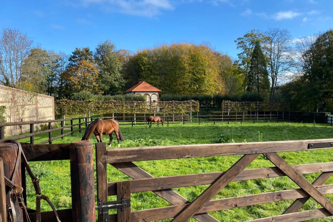 Photo of Others in Pierrefitte-en-Auge