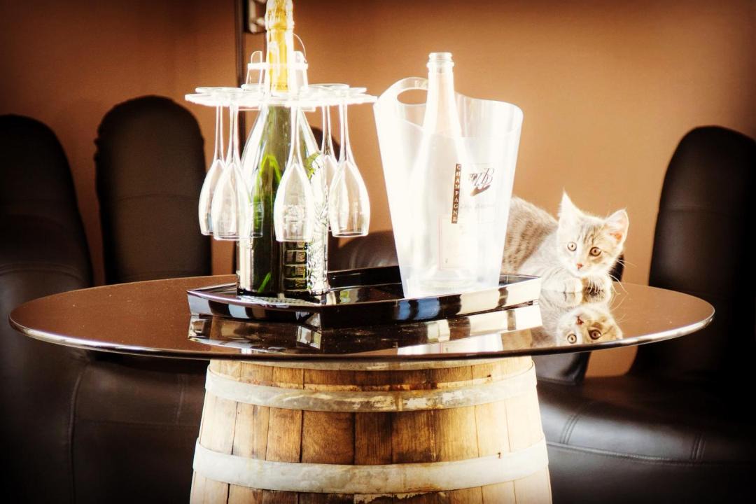 Photo of Others in Reuil