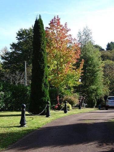 Photo of Others in Cussac