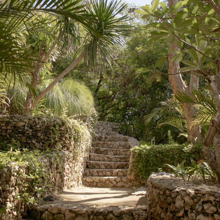 Photo of Others in Mushroom Bay