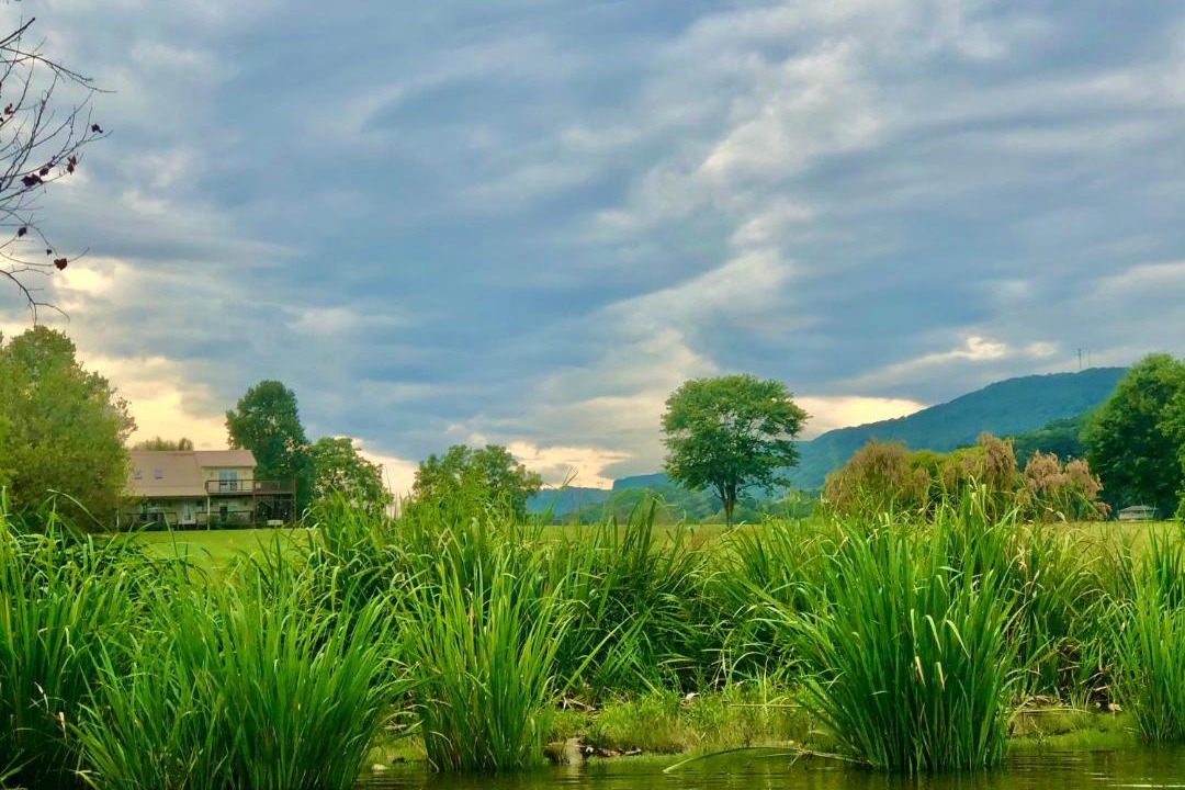 Photo of Outdoor in Lookout Valley Neighborhood Association