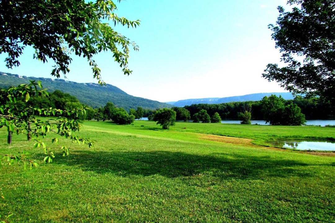 Photo of Others in Lookout Valley Neighborhood Association