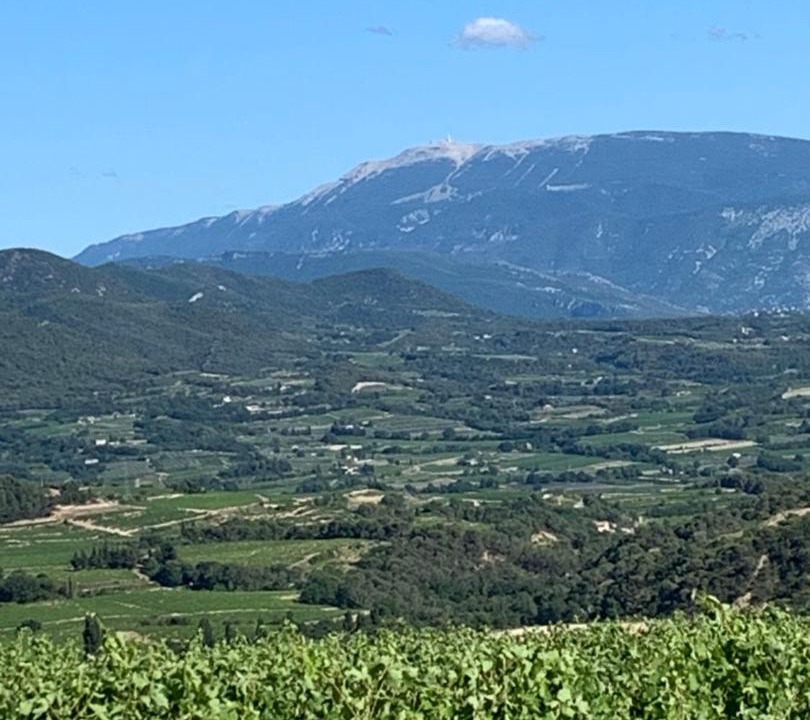 Photo of Others in Venterol