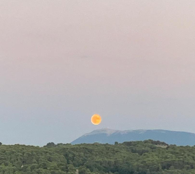 Photo of Others in Venterol