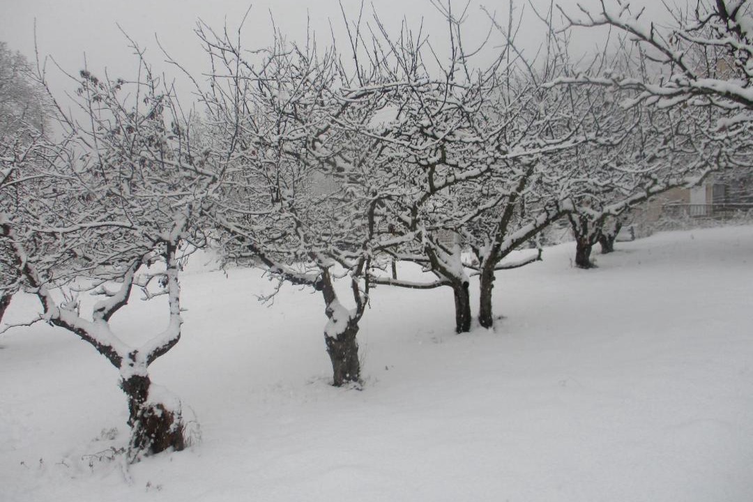 Photo of Others in Casteil