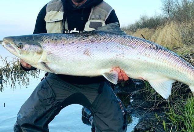 Photo of Others in Tarm