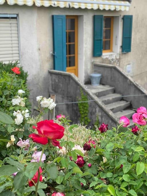 Photo of Buildings in Mont-sur-Rolle