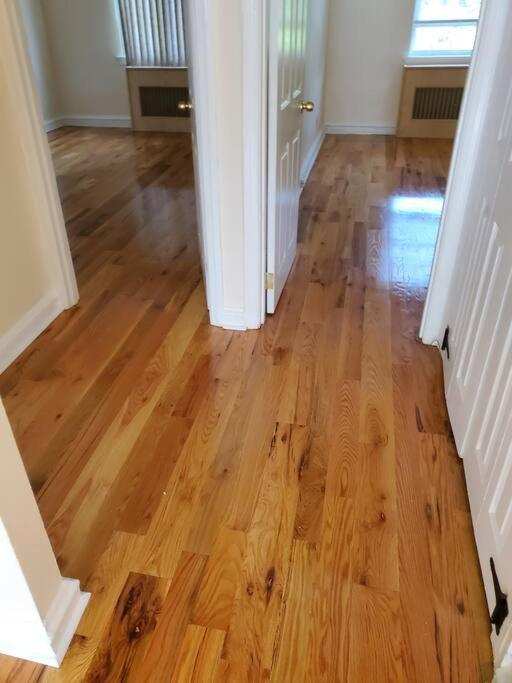 Photo of Others in North Philadelphia