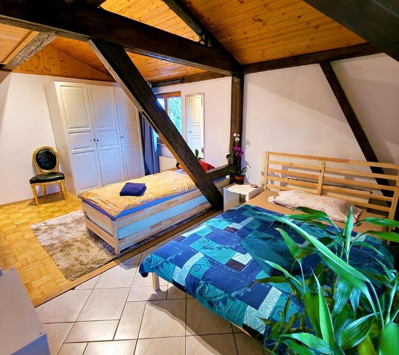 Photo of Others in Munchenstein