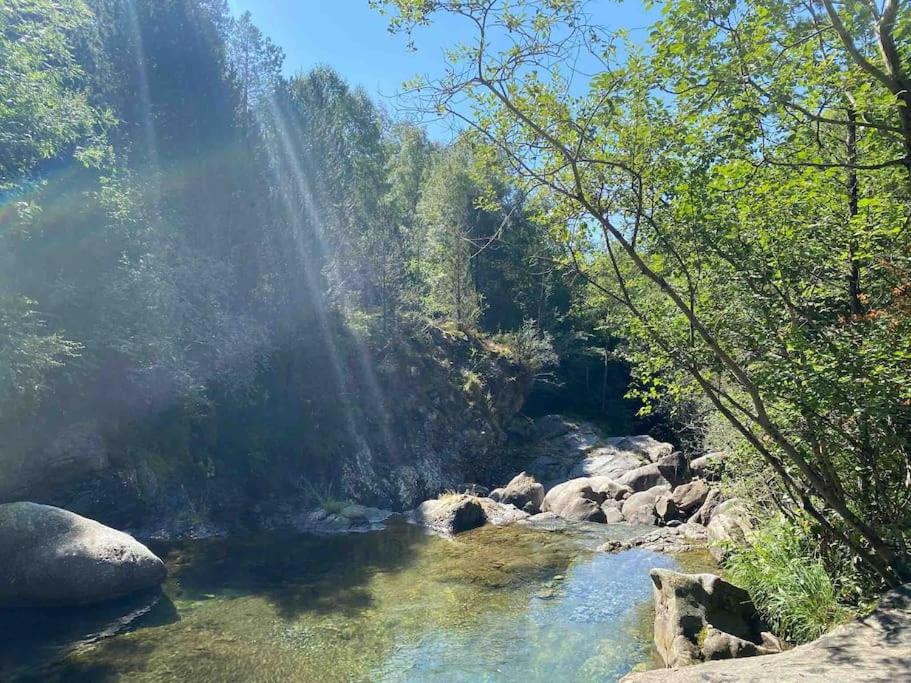 Photo of Outdoor in Linsoles
