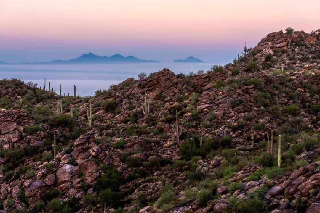 Photo of Others in Dove Mountain