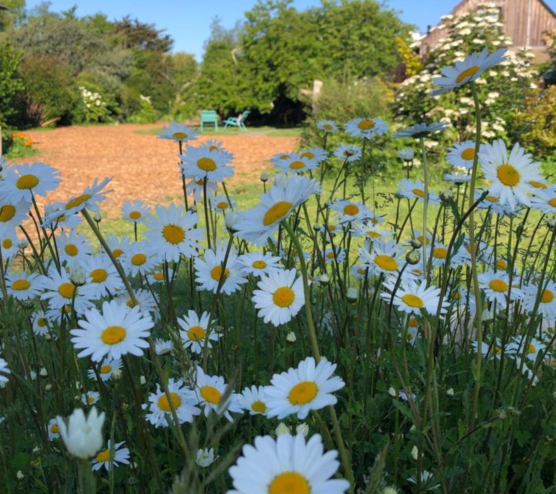 Photo of Others in Le Palais