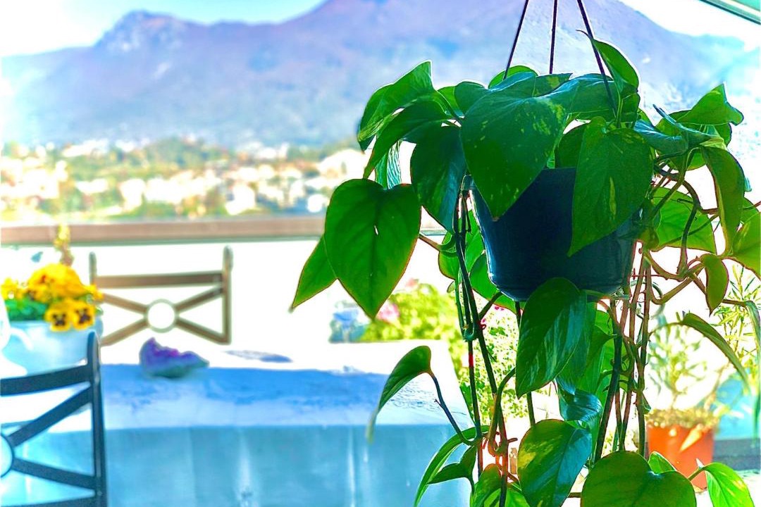 Photo of Outdoor in Breganzona