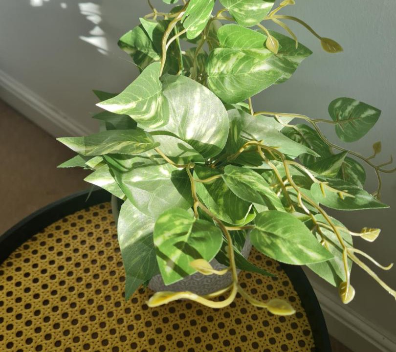 Photo of Others in Barton-upon-Humber