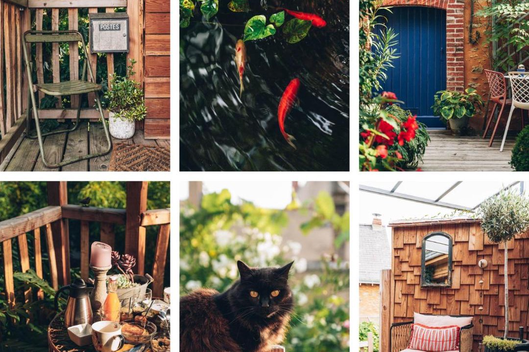 Photo of Others in Laval