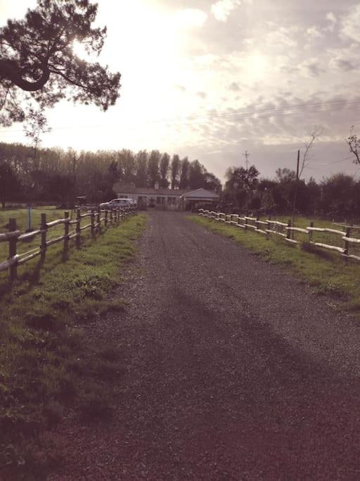 Photo of Outdoor in Soullans